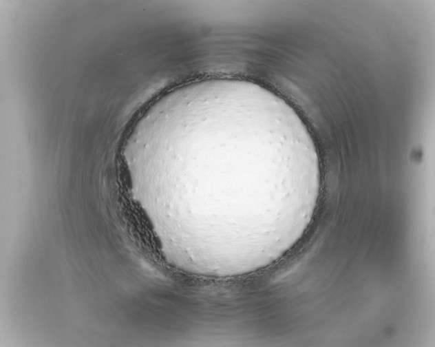 X0000090470721200708102133