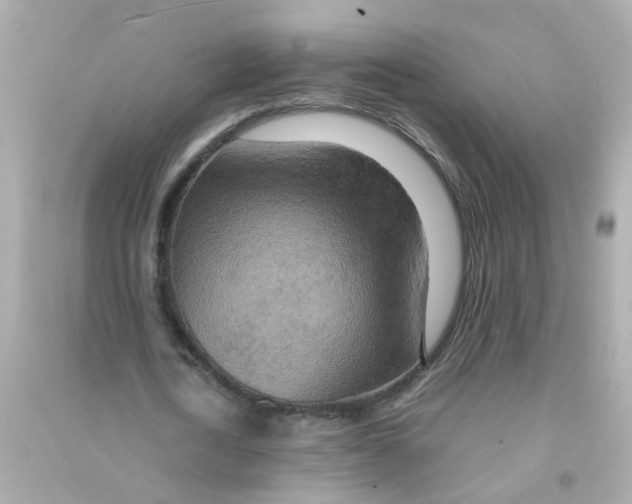 X0000090470722200708102133