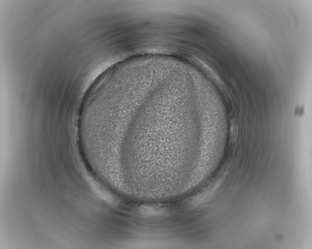 X0000090470725200708102133