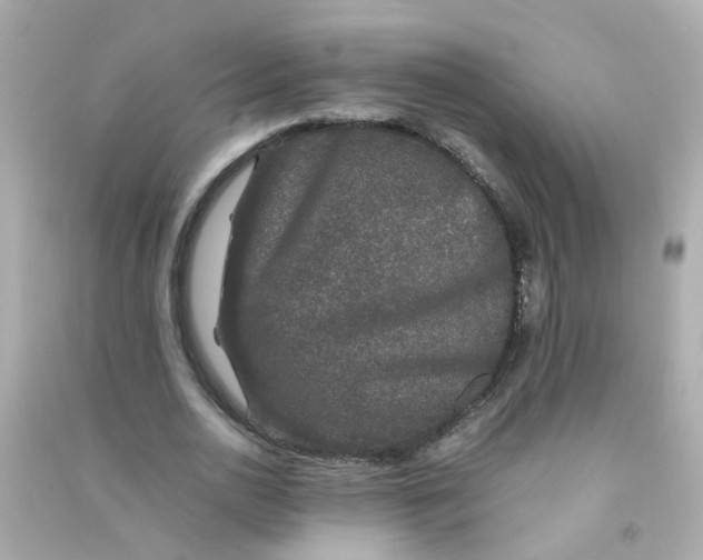 X0000090470726200708102133