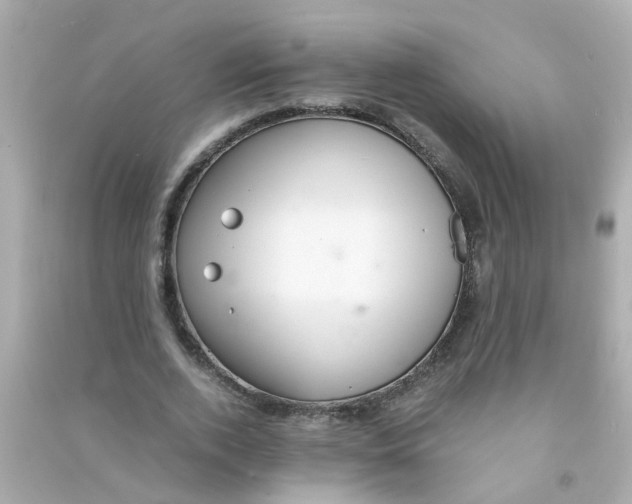 X0000090470728200708102133