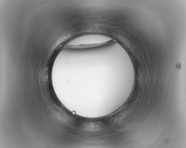 X0000090470731200708102133