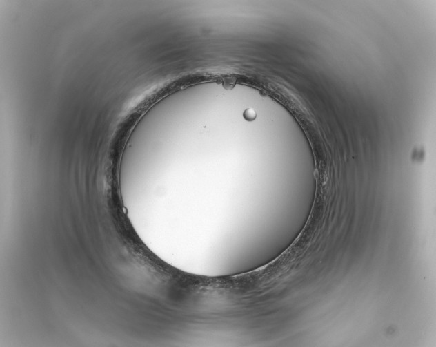 X0000090470732200708102133