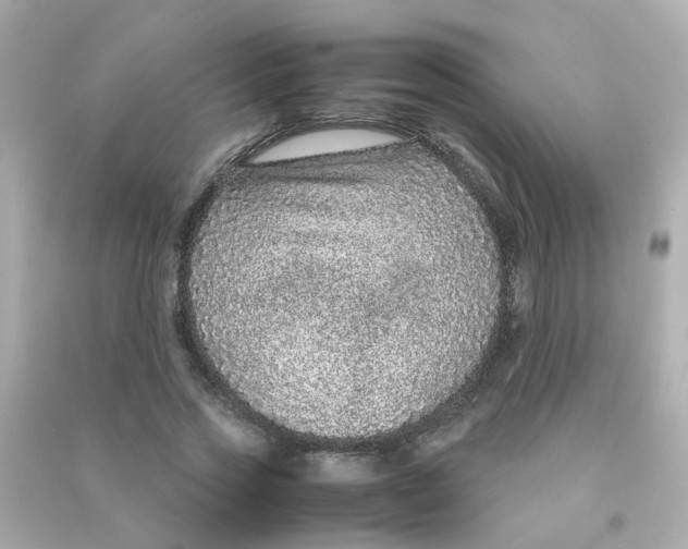 X0000090470733200708102133