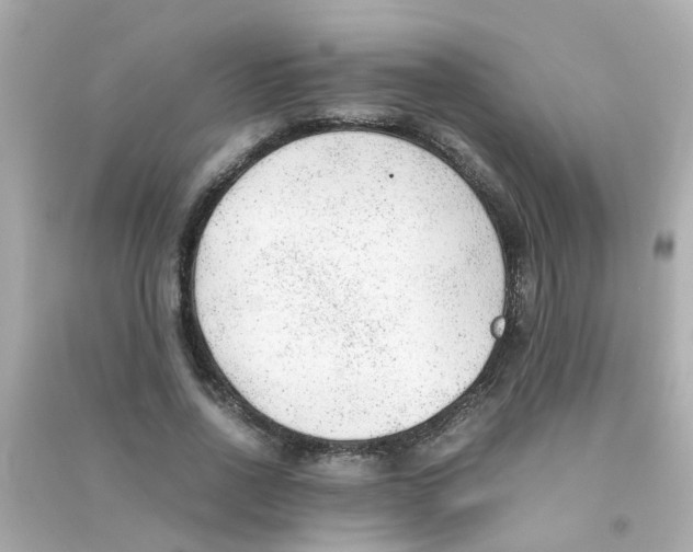 X0000090470734200708102133