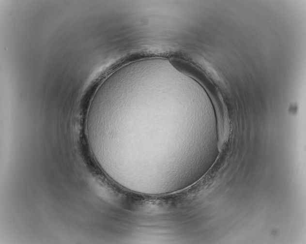 X0000090470736200708102133