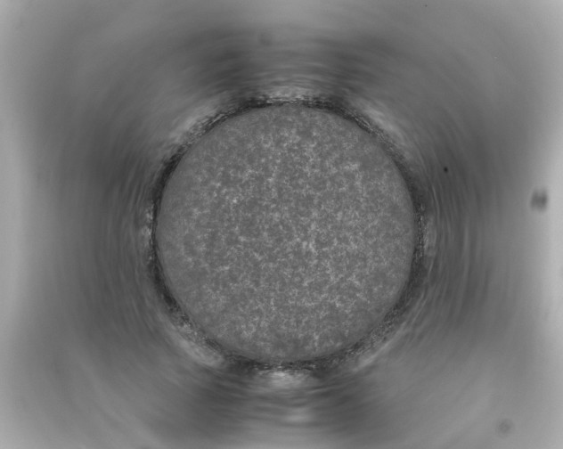 X0000090470737200708102133