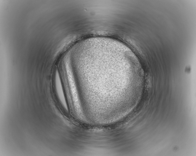 X0000090470738200708102133