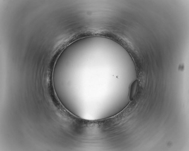 X0000090470740200708102133