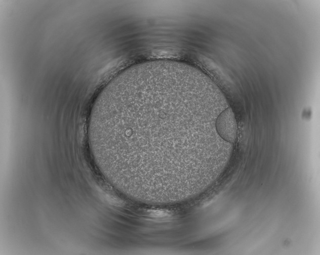 X0000090470741200708102133