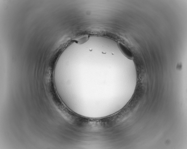 X0000090470744200708102133