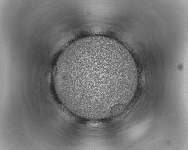 X0000090470746200708102133