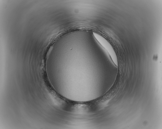 X0000090470748200708102133