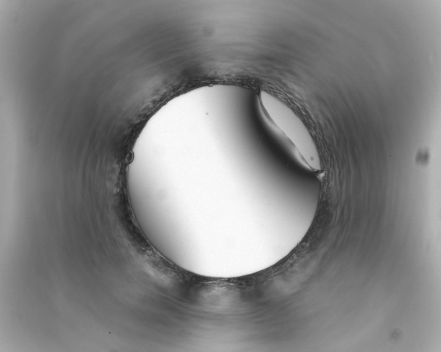 X0000090470750200708102133