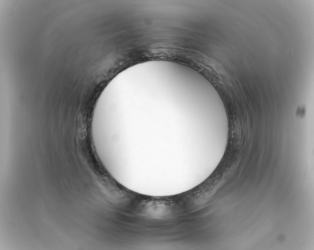 X0000090470751200708102133