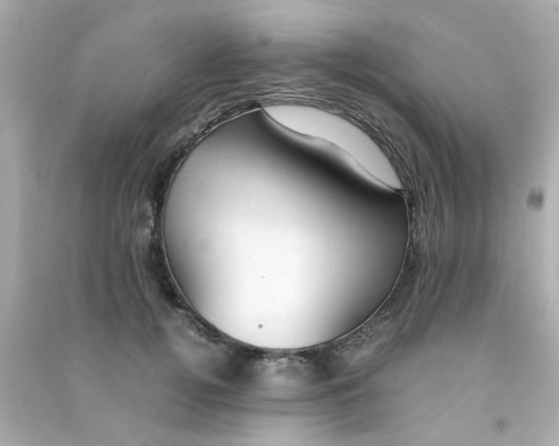 X0000090470752200708102133