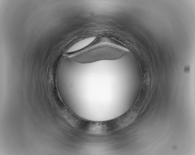 X0000090470754200708102133