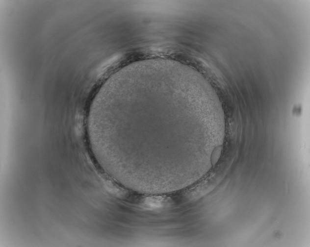 X0000090470757200708102133