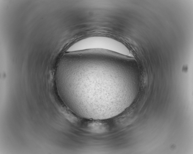 X0000090470759200708102133