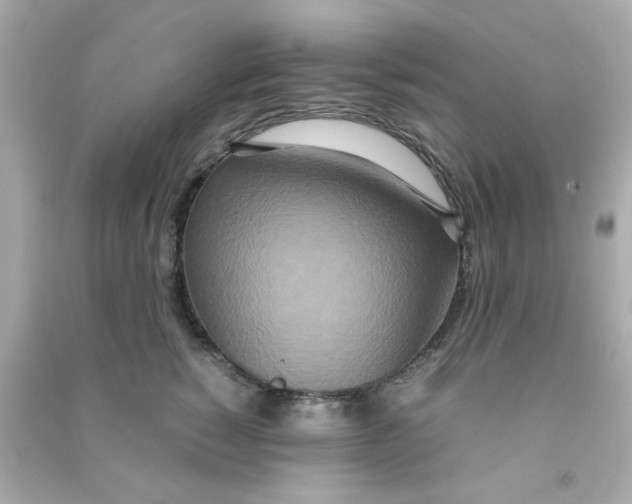 X0000090470760200708102133