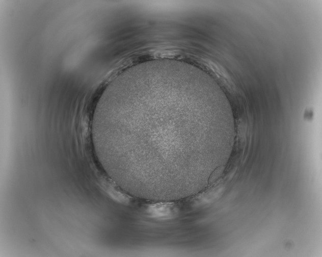 X0000090470761200708102133