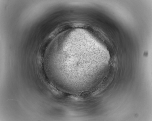 X0000090470763200708102133