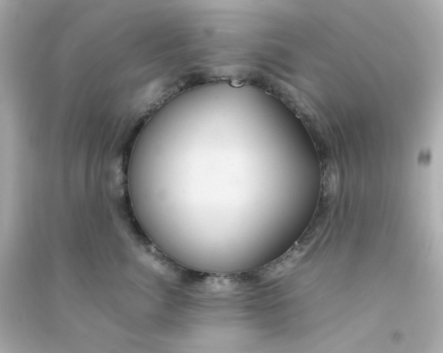 X0000090470764200708102133