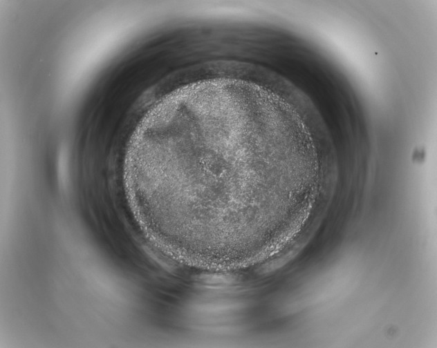 X0000090470765200708102133