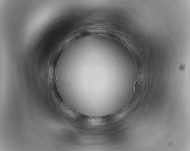 X0000090470767200708102133