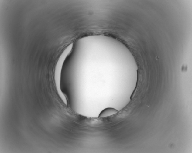 X0000090470768200708102133