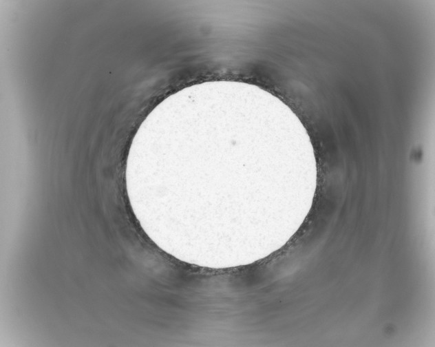 X0000090470769200708102133