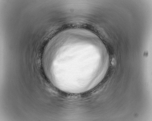 X0000090470771200708102132