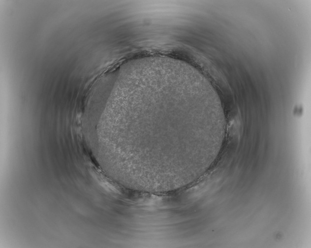 X0000090470772200708102132