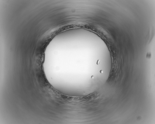 X0000090470773200708102132