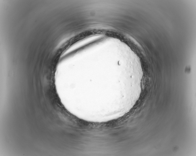 X0000090470775200708102132