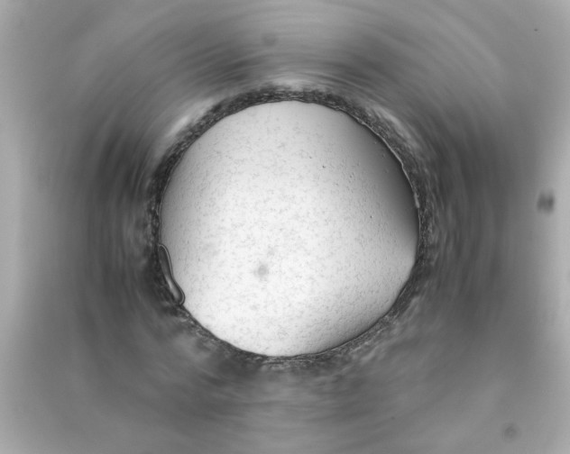 X0000090470776200708102132