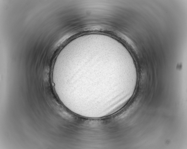 X0000090470778200708102132