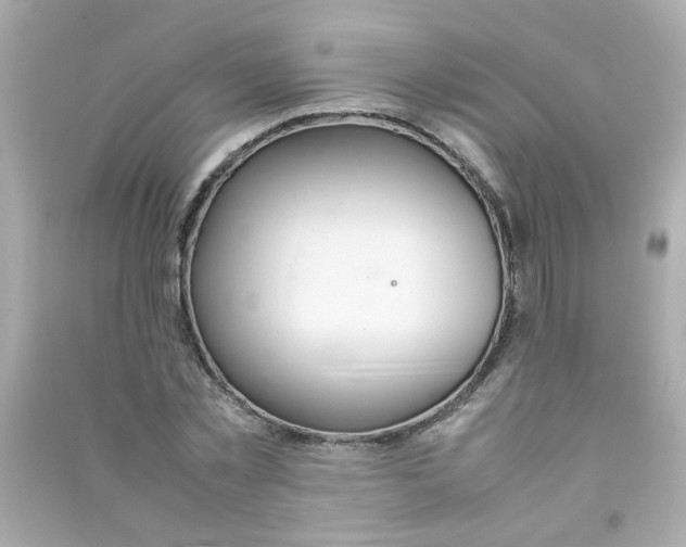 X0000090470781200708102132