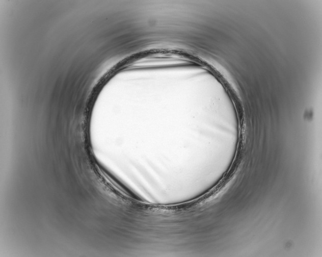 X0000090470783200708102132