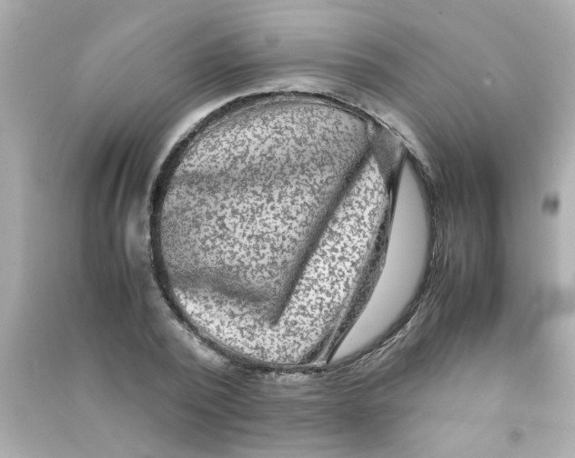 X0000090470784200708102132