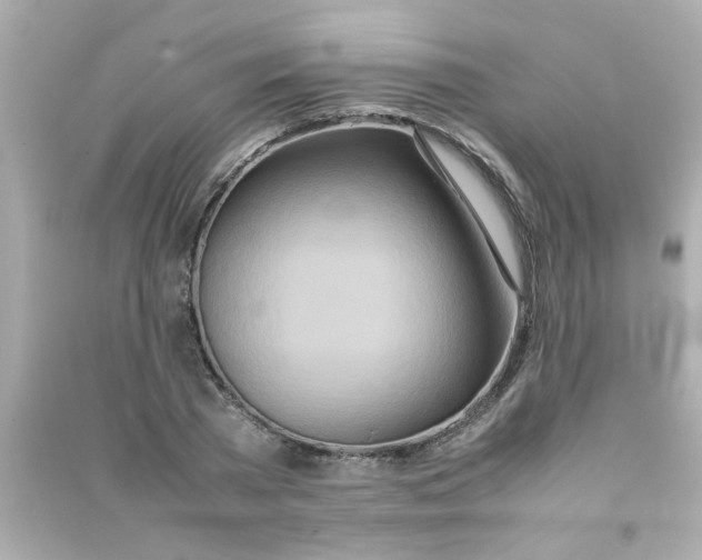 X0000090470785200708102132