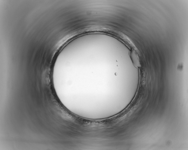 X0000090470786200708102132