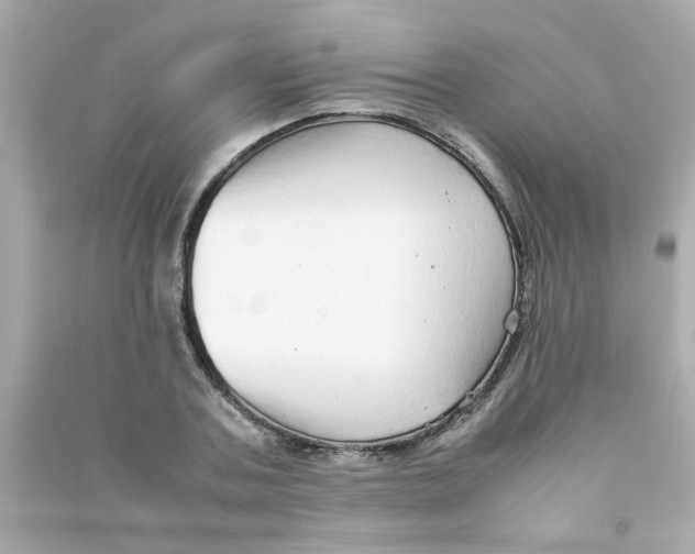 X0000090470787200708102132