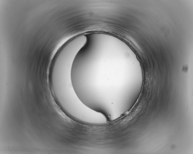 X0000090470788200708102132