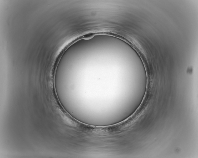 X0000090470789200708102132