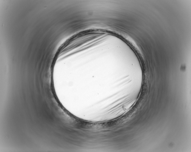 X0000090470791200708102132