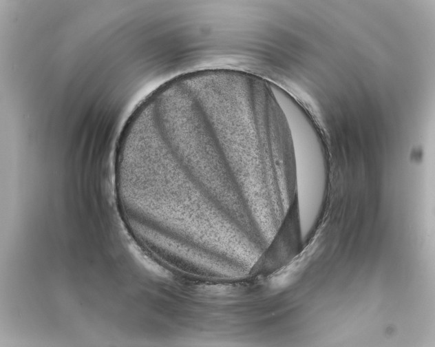 X0000090470792200708102132