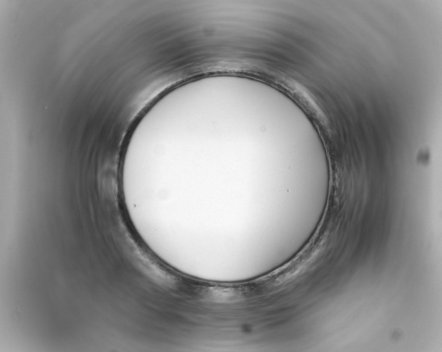 X0000090470794200708102132