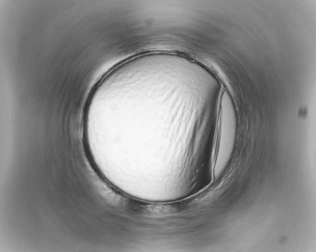 X0000090470795200708102132