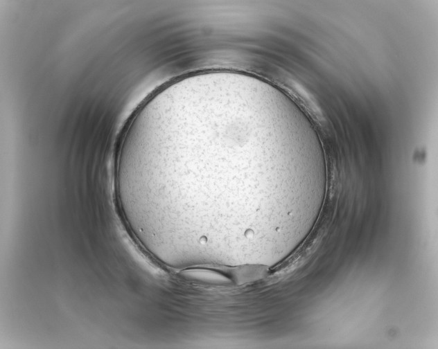 X0000090470796200708102132